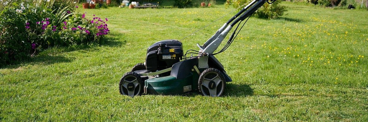 Power & Lawn Equipments