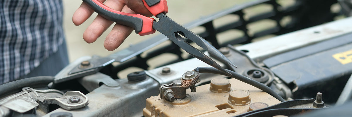 Service & Maintenance