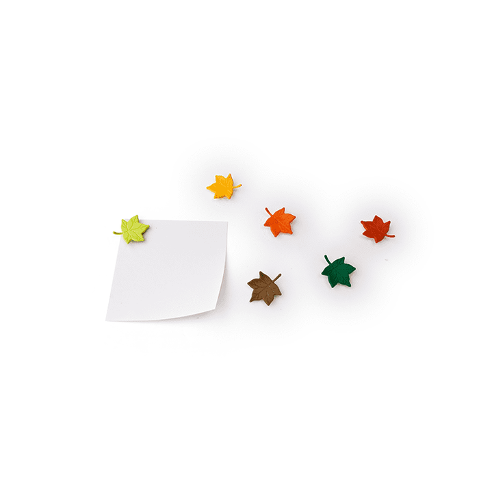 Qualy Leaf a Message magnets colorful 10105-MX