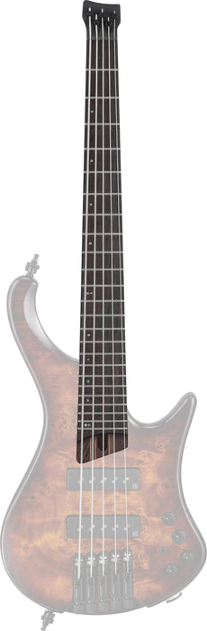 IBANEZ Neck for EHB1505S-DEL