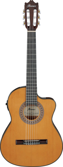 IBANEZ Classical 6-Str Amber High Gloss Nylon String