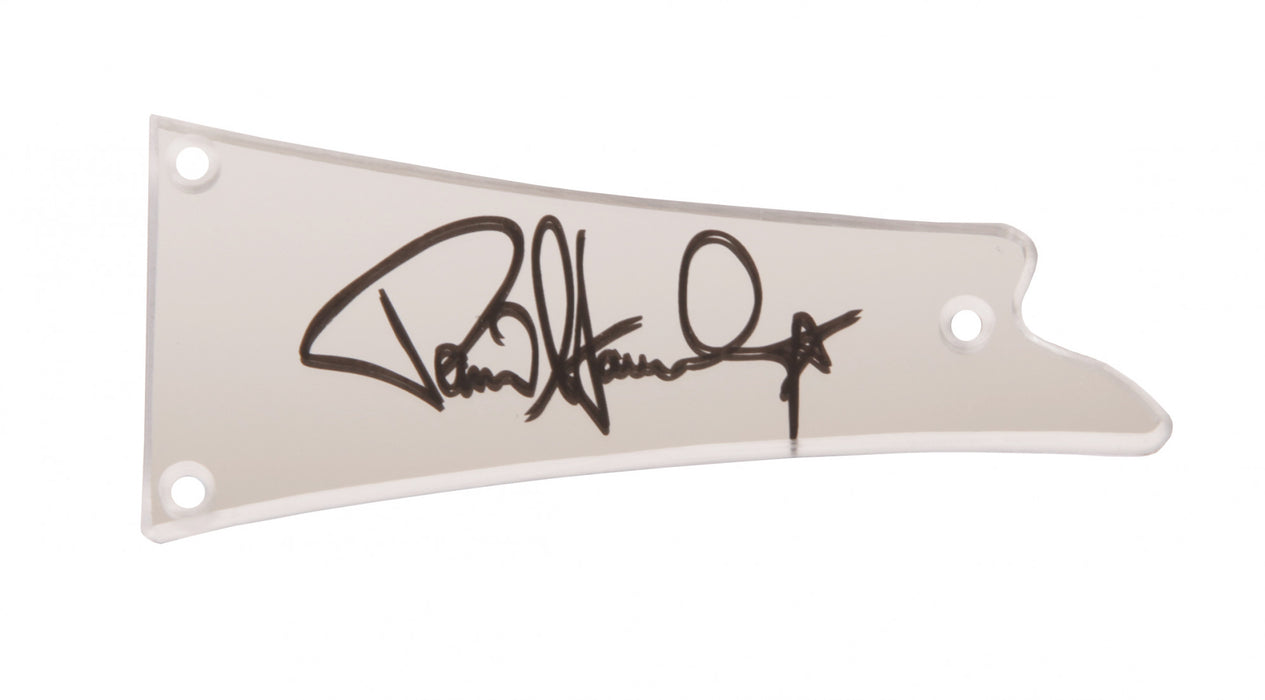 IBANEZ truss rod cover - for PS120