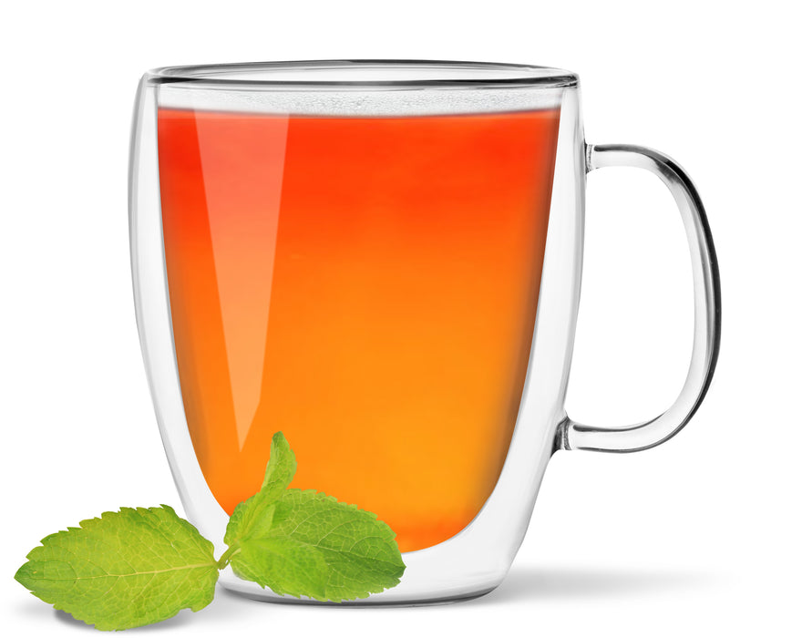 Vialli Design Double wall mug 480ml AMO 25851