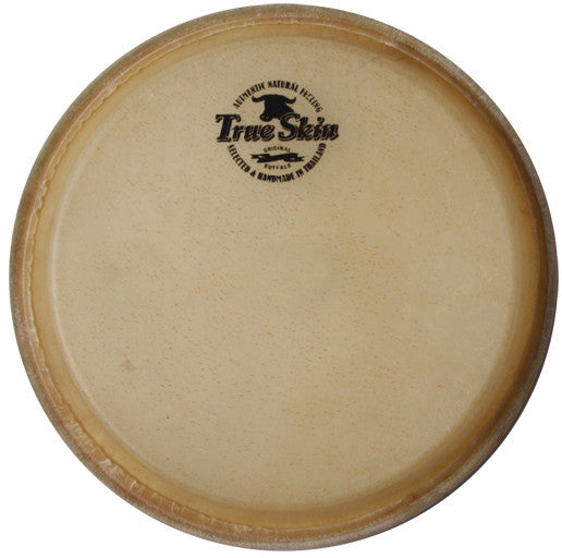 MEINL Percussion head for MEC11 Marathon MEC + current MCC series conga - 11"