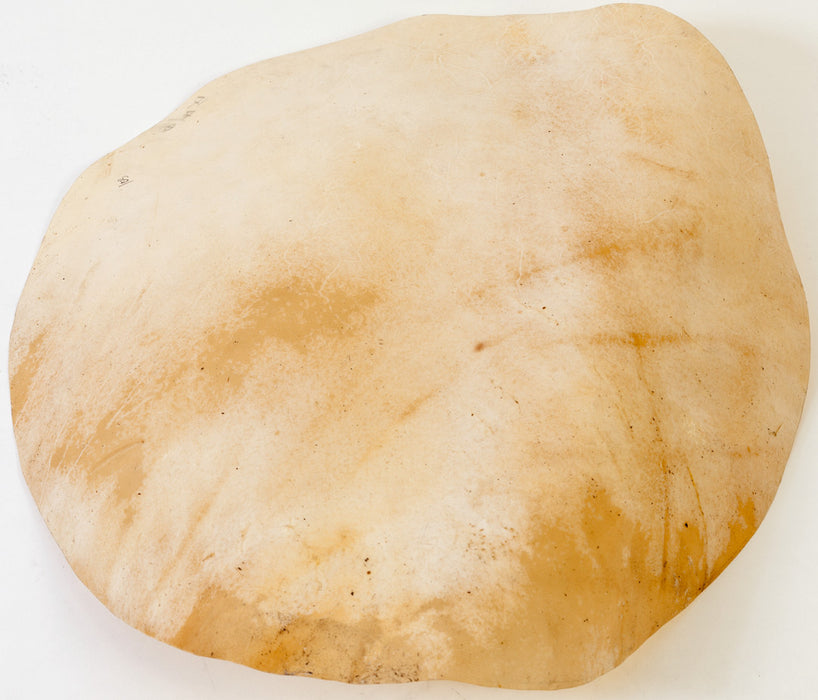 MEINL Percussion goat head - for djembefola