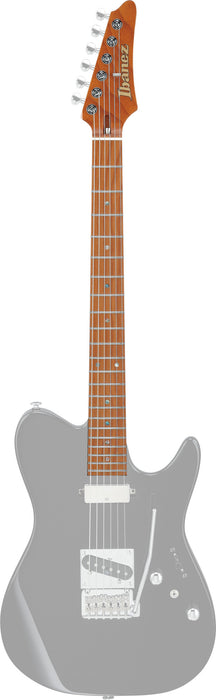 IBANEZ Neck for AZS2200/AZS2209