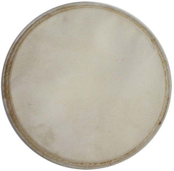 MEINL Percussion head for plenera set - 12"