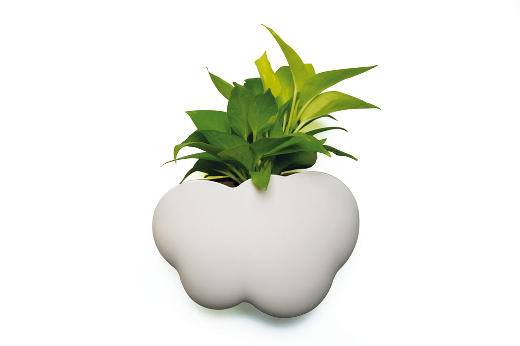 Qualy Cloud Pot container white 10217-WH