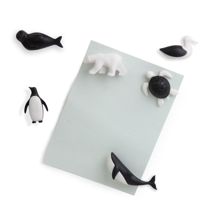 Qualy Sava The Ocean magnets 10311-BK-WH