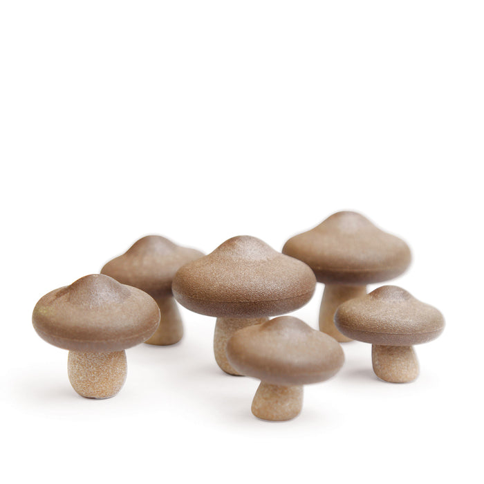 Qualy Shiitake magnets 10229-BN
