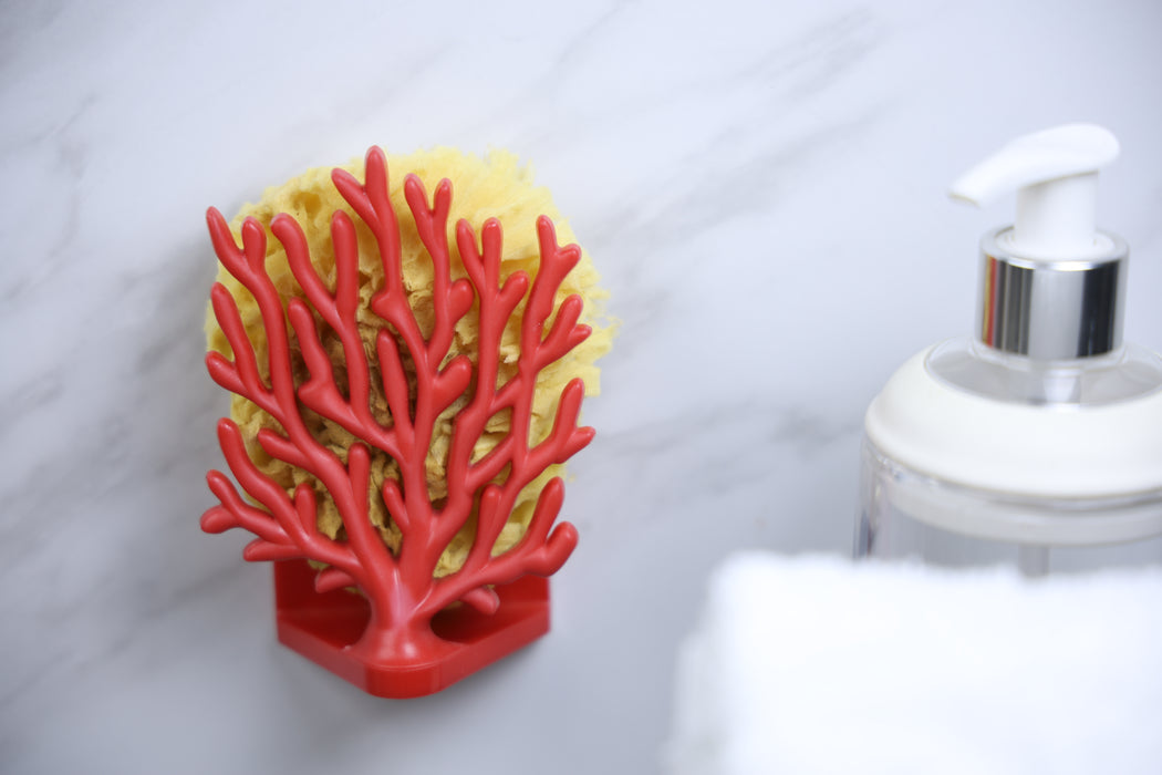 Qualy Coral sponge holder 10335-RD