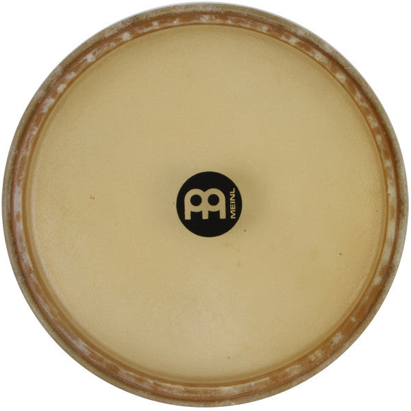 MEINL Percussion True Skin conga head - 12 1/2" for Marathon + recent MCC series models