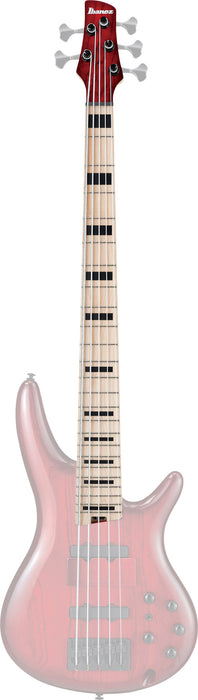 IBANEZ Neck for ANB205-TWB 5 String