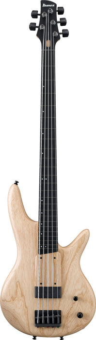 IBANEZ Gary Willis Signature Electric Bass 5-String Fretless - Natural Flat + Case M20SR