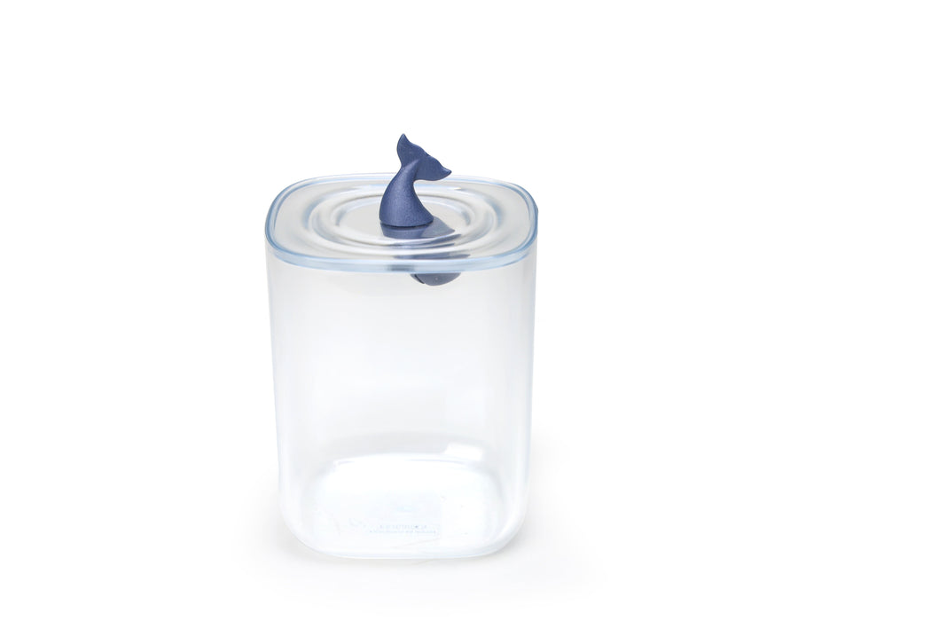 Qualy Moby Whale Ocean blue container 10329-CL-BU