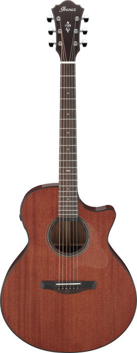 IBANEZ AE 6 String Natural Low Gloss + Case