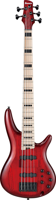 IBANEZ Adam Nitti Signature Electric Bass 5-String - Transparent Wine Red Burst + Premium Softcase