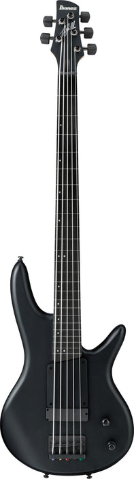 IBANEZ Gary Willis Signature Electric Bass 5-String Fretless - Black Flat