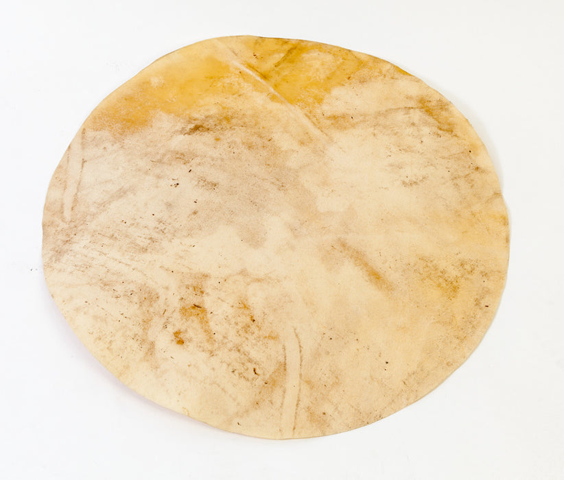 MEINL Percussion cow head for djembe - DJTC1-M/DJTC1-L