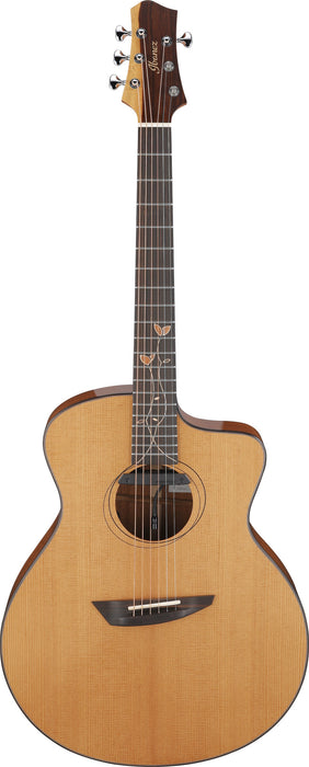 IBANEZ Jon Gomm Signature Acoustic Guitar 6-String Incl. Fiberglass Case