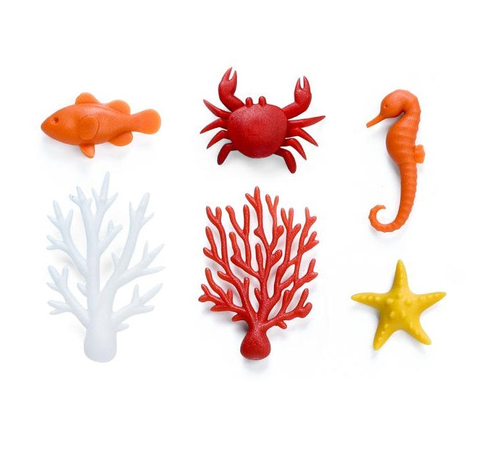 Qualy Ocean ecology magnets 10337-MX