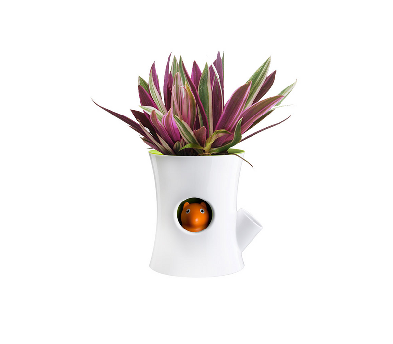 Qualy Log&amp;Squirrel watering pot white-green 10075-WH-GN