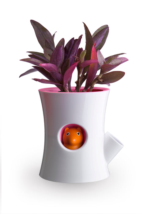 Qualy Log&amp;Squirrel white-pink watering pot 10075-WH-PK