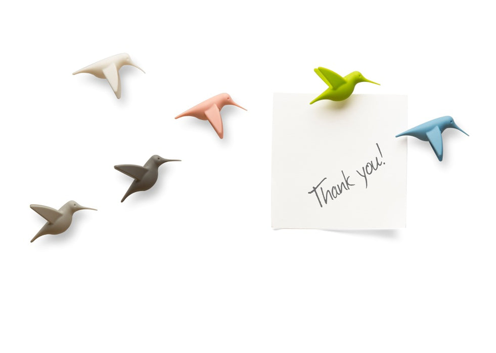 Qualy Hummingbird pastel magnets 10102-PT