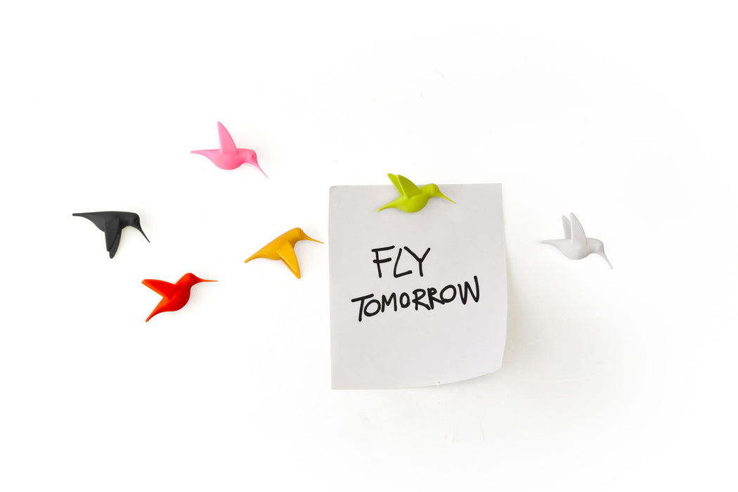 Qualy Hummingbird magnets mix 10102-MX