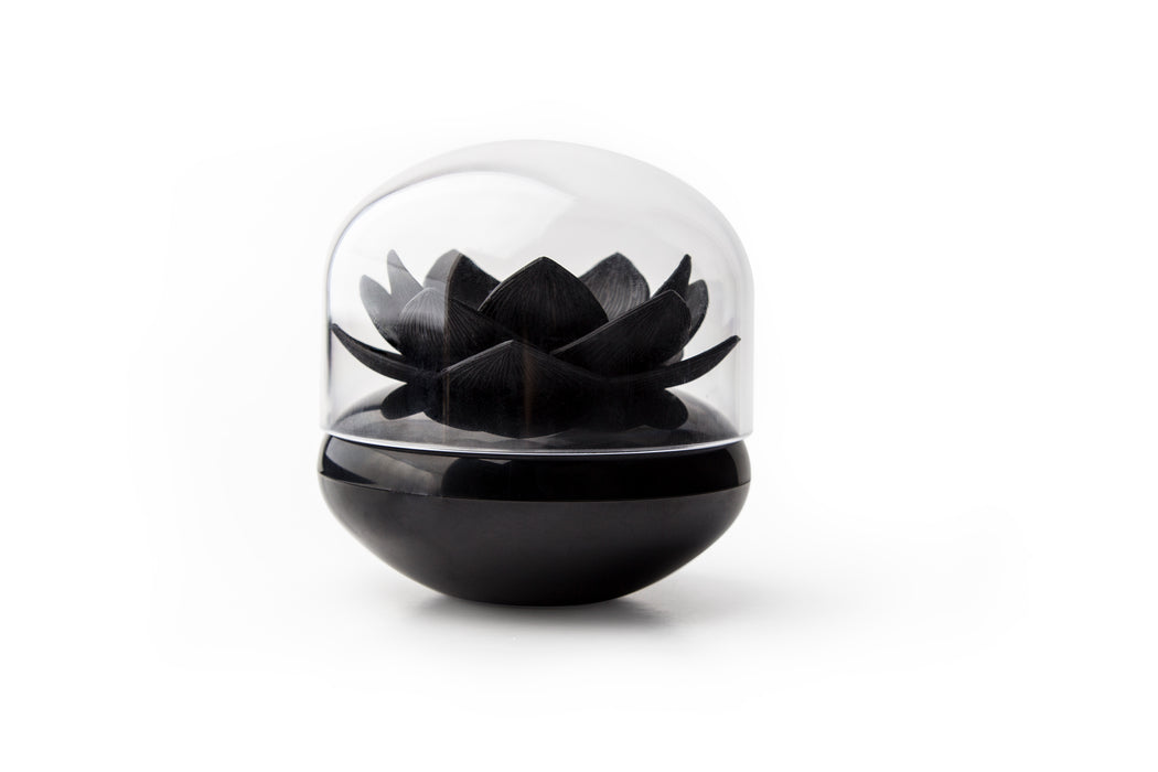 Qualy Lotus ear stick container black 10157-BK-BK