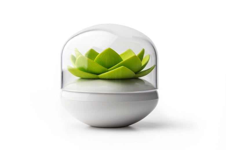 Qualy Lotus ear stick container white and green 10157-WH-GN