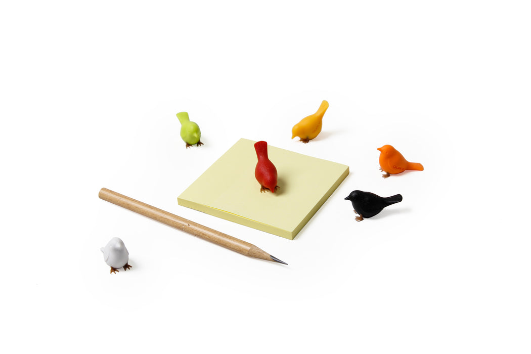 Qualy Set of 6 Mini Sparrow color magnets 10258-CF