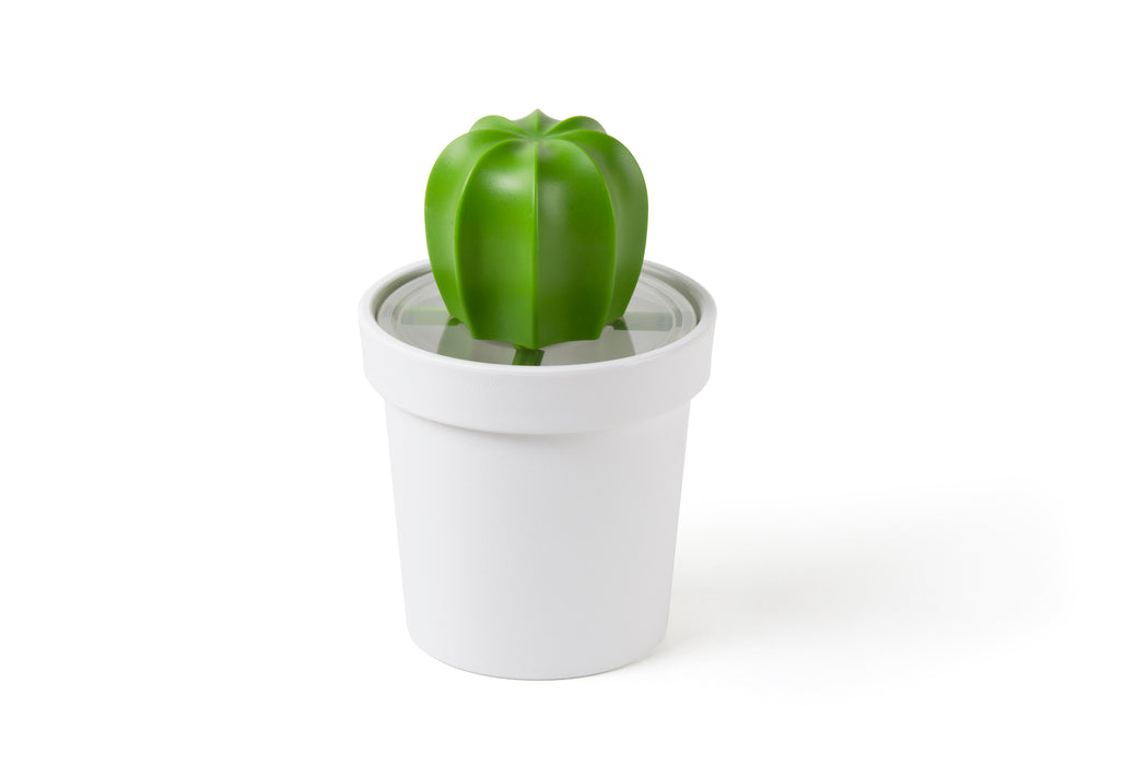 Qualy Cacnister cactus coffee spoon container white and green 10280-WH-GN